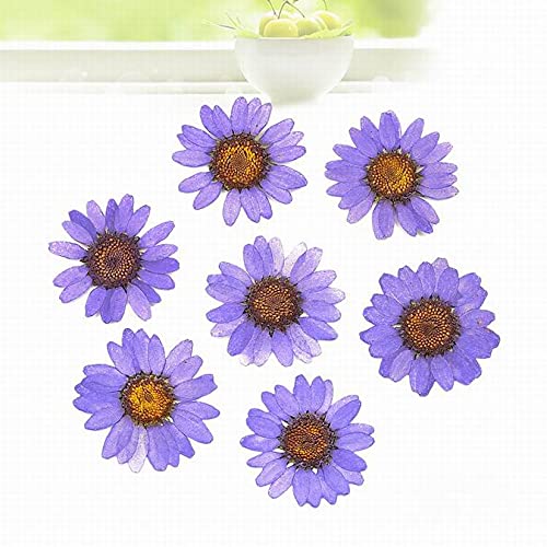 Flores secas prensadas para manualidades 120 pcs miniatura 5
