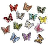 YINANLIN 14Pcs Butterfly Iron On Patches Bulk - Colorful Floral Embroidery Applique Patches for Clothes Hats Jackets Jeans Bags Shoes DIY Decor