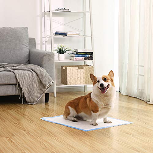 FEANDREA Puppy Pads, Welpen-Unterlage, 60 x 60 cm, 100 Stück, blau-weiß PTD60B