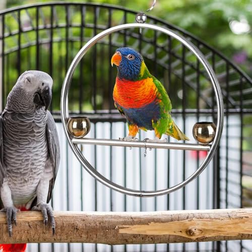 Perchoir pour oiseaux en inox suspendu avec mangeoires intégrées