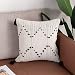 OJIA Black and White Lumbar Pillow Cover Neutral Decorative Collection Throw Accent Woven Cotton Tassel Pillow Case for Home, Party, Car, Office and Farmhouse (18 x 18 Inch, Tribal Geometric)