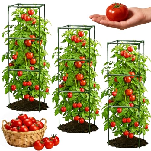 3 Pack Square Tomato Cages for Garden, 48 Inch Tall Heavy Duty Metal Tomato Plant Support Trellis, Adjustable Large Tomato Stakes for Outdoor Pots Climbing Plants, Vegetables, Cucumber