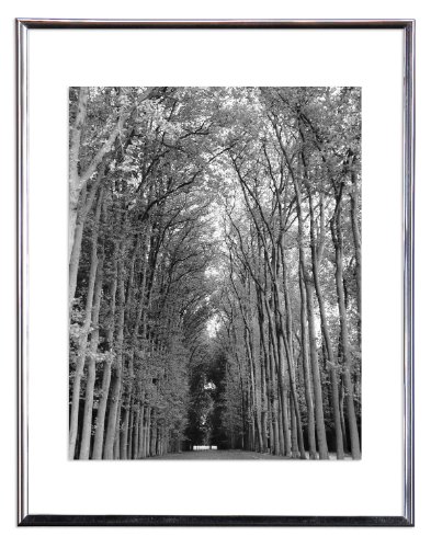 MCS 8x10 Inch Floating Flex Frame, Silver (24331)