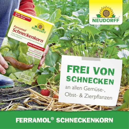 Neudorff Ferramol Schneckenkorn – Zuverlässiger und schneller Schneckenschutz - Extrem Regenfest. Keine toten Schnecken sichtbar… – Ansicht 6