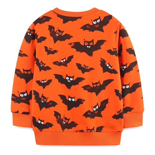 Image of Popshion Toddler Boys Sweatshirt Cotton Lightweight Kids Winter Warm Sweater Crewneck Pullover Tops