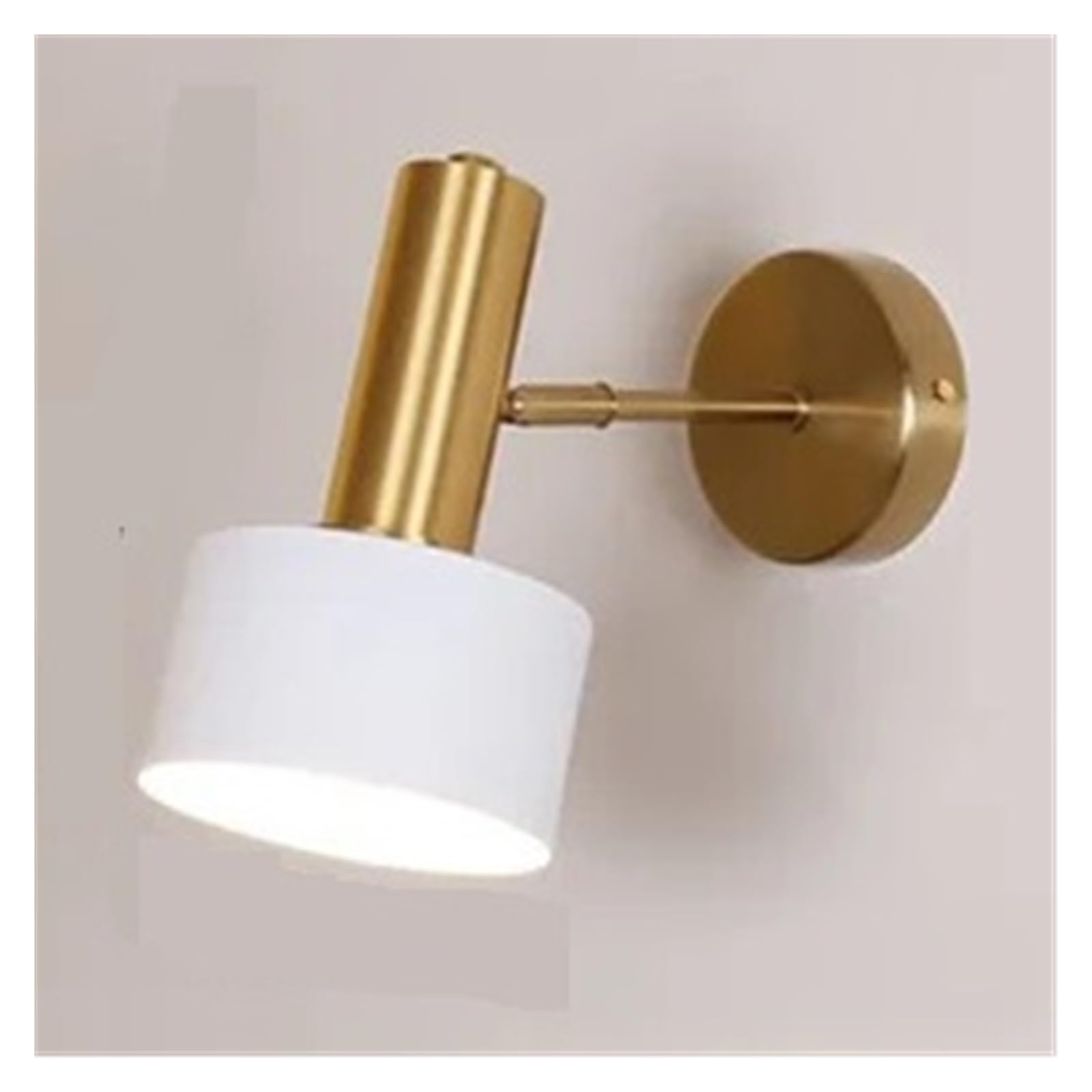 JCKJWL Art Display Light, LED Wall Reading Fashion Creative Light for BedHead Bedroom Corridor Exhibition Hall Flexible(White,Gold White)