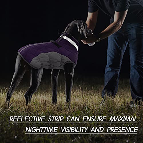 Image of FUAMEY Dog Coat for Large Dogs, Fleece Dog Winter Jacket with Harness | Puppy Cold Weather Coats Reflective Pet Puffer Vest with Zipper Water-Resistant Warm Dogs Snowsuit Windproof Purple XXL