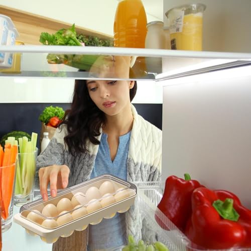 Porta huevos apilable de 12 ranuras con tapa protectora rígida 5