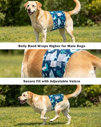 Image of CuteBone Dog Diapers Male Belly Bands 3 Pack for Male Dogs Reusable Puppy Wraps