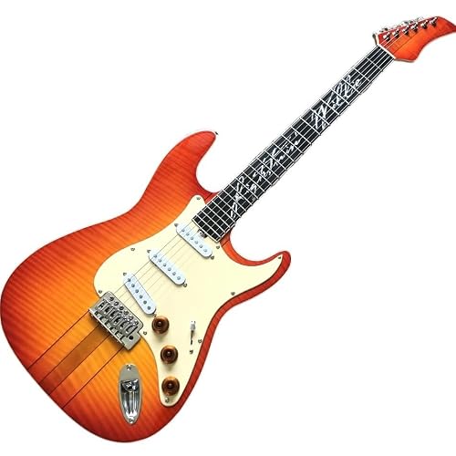Custom Of Body & Neck Double Shake Electric Guitar, 3 Pickups, Ebony Fingerboard