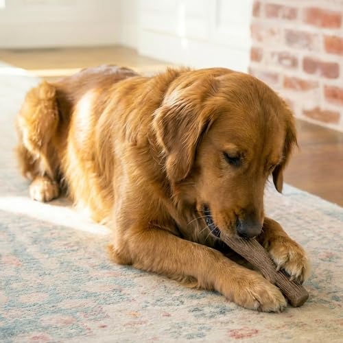 Pupstages Dogwood Dog Chew Toy – Real-Wood Blend, Natural Flavor & Texture, Moderate Chewers, Large, 8.4”