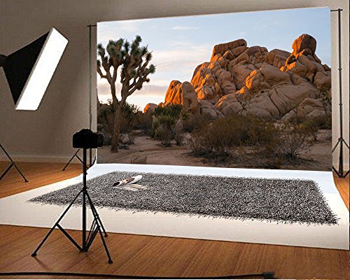 Leowefowa 7X5Ft Vinyl Photography Backdrop Nature Rock Stone Trees Green Plants Desert Blue Sky White Cloud Background Baby Kids Lover Photo Studio Props #TOP1