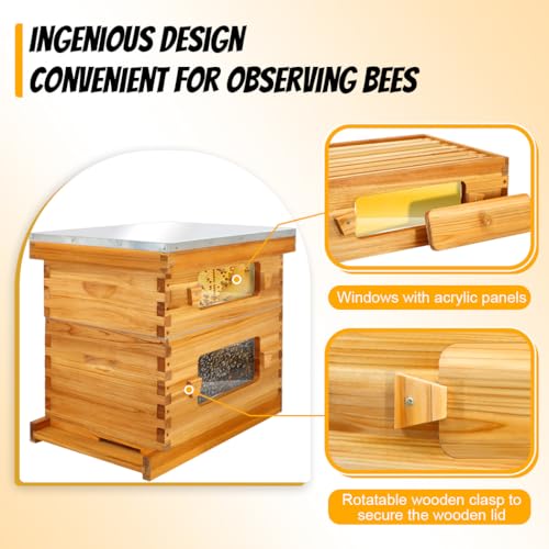 Honey Lake 10 Frame Langstroth Beehive Starter Kit – Wax-Dipped Bee Hive with Viewing Windows, Deep Brood Box, Medium Super, Beehive Frames & Waxed Foundation Sheets - Image 4