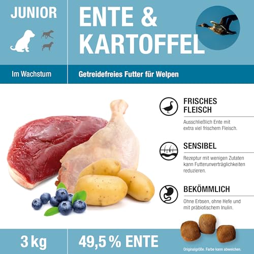Wildsterne Ente & Kartoffel Junior 3 kg| Getreidefreies Trockenfutter | Monoprotein | von Tierärzten entwickelt