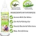 Vet Recommended Dog Ear Cleanser with Natural Aloe Vera for Dog Ear Cleaning (8oz/240ml).