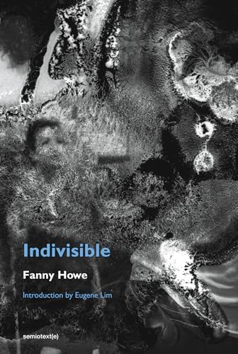 Indivisible, new edition (Semiotext(e) / Native Agents) view 2