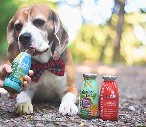 Hunde Smoothie SmoothieDog 6er Rind - Flüssiges Hundeleckerli - Zucker- & glutenfrei - je 250ml