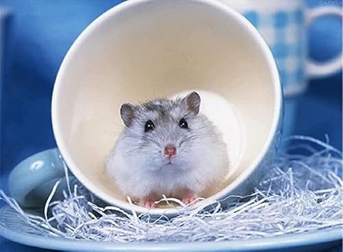 Kit de pintura de diamantes 5D para adultos principiantes y principiantes de cristal de diamante completo punto de cruz arte para hámster decoración