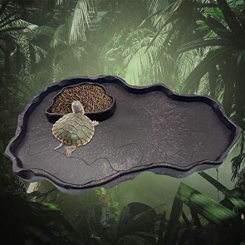 Tfwadmx Reptile Food and Water Bowl Set Luminous Bearded Dragon Dishes