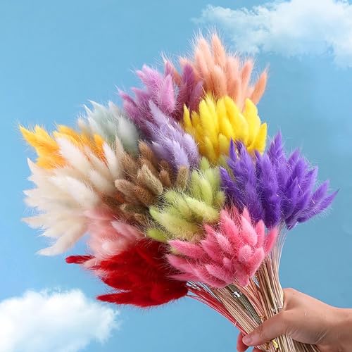 Decoración Boho 60Pcs Hierba Cola de Conejo Seco 40cm miniatura 2