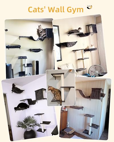 Estantes de pared robustos para gatos grandes, cama y hamaca miniatura 3