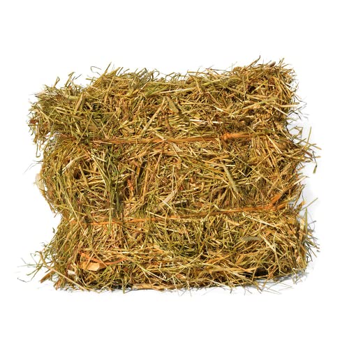 Petite Botte de Foin 2,5 Kg Qualité Extra Made in France pour Lapin, Mouton, Rongeur, Chèvre