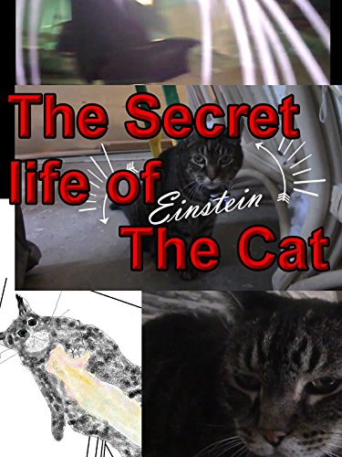 The Secret life of Einstein the Cat