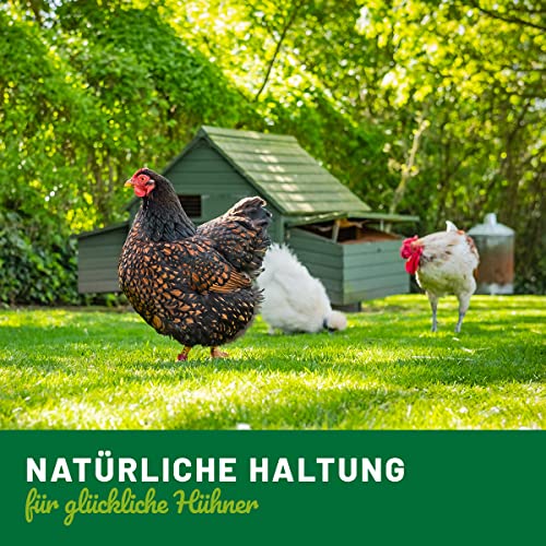 HÜHNER Land Mauserhilfe für Geflügel 500g I Futterergänzung für Hühner, Vitamin B, Gefieder und Stoffwechsel… – Bild 6