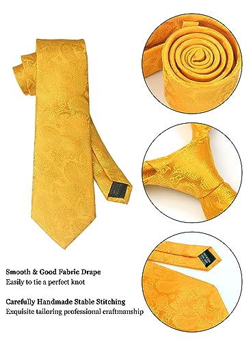 Image of Paisley Floral Mens Tie Formal Necktie Pocket Squares Ties Clips Cufflinks Classic for Men Set
