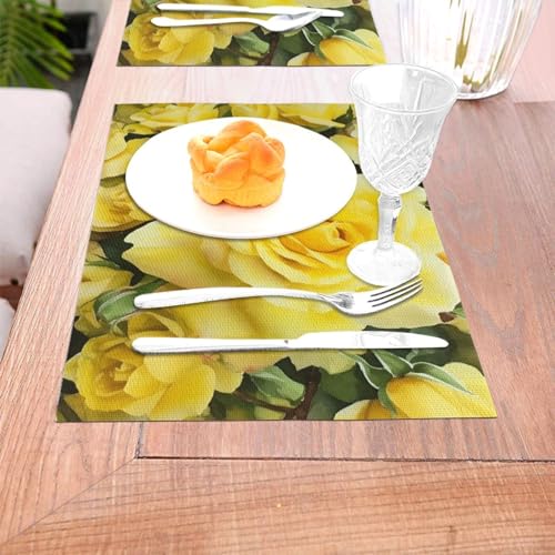 Sets de table tissés en PVC résistant chaleur lavable pour protection table repas