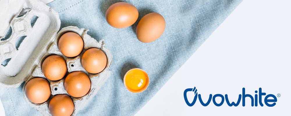 Proteina Instant clara huevo en polvo Eggs 100% natural Shake 800g Rich Chocolate