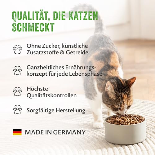 MERA Cats Adult Nassfutter Multibox, für ausgewachsene Katzen, getreidefrei und nachhaltig, Katzenfutter mit hohem Fleischanteil aus Huhn, Rind, Ente und Lachs, 12 x 85 g