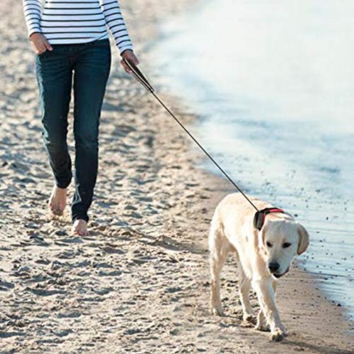 PJDDP Hundehalsband Mit Einziehbarer Hundeleine 2 in 1, Haustierhalsband Mit Schnellverschluss Reflektierende Verstellbares Hundetrainingshalsbänder Für Mittlere Und Kleine Hunde Walking/Wandern,M