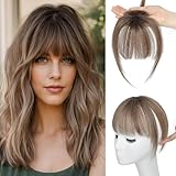 Ms Taj 360° Cover Clip in Bangs Real Human Hair Fake Bangs Clip in Hair Extensions for Women Hair Bangs Clip in Human Hair for Daily Use(Ombre Brown)