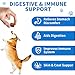 Dog Probiotics for Digestive Health - Probiotic Fiber Supplement with Prebiotics & Digestive Enzymes Soft Chews for Gut Health, Diarrhea Relief, Yeast Balance, Immune System & Bowel Support 90 Count