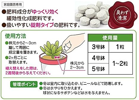 Amazon 花ごころ 多肉植物の肥料 1g 肥料 土壌改良剤
