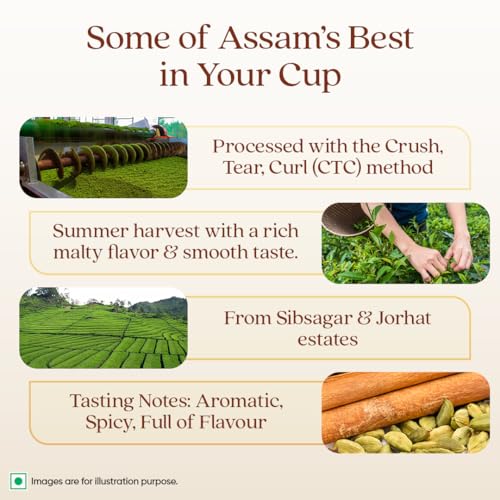 Image of 1868 by TATA Tea Masala Chai, Blend of Assam Black Tea, Cinnamon, Black Pepper, Cardamom, Ginger, Clove, Spicy, Malty, Aromatic, Whole Loose Leaf, From House of TATA (30 Cups /100g)