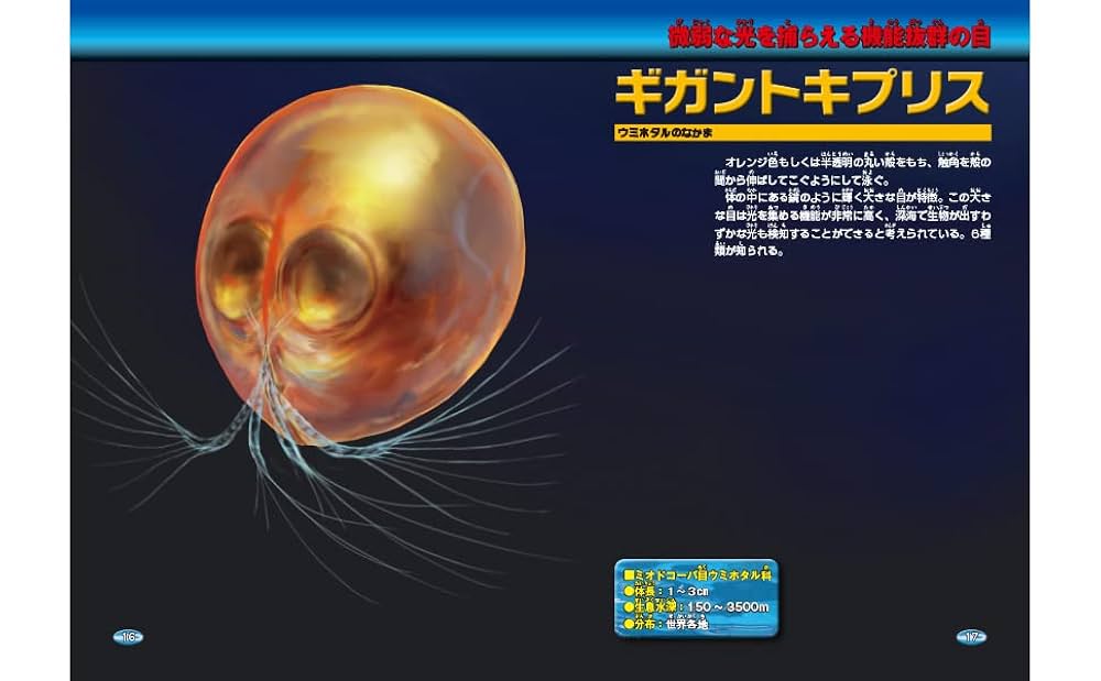 深海生物大事典 = THE ENCYCLOPEDIA OF DEEP-SEA … 深海生物大事典 = THE ENCYCLOPEDIA OF DEEP-SEA …