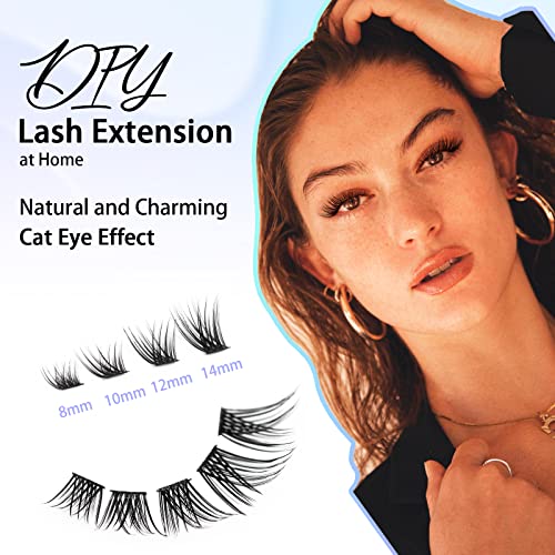 Cluster Lashes Individual Cluster C Curl Lash Clusters 8~14mix Eyelashes Individual DIY Lash Extensions Natural Look by Obeyalash (Daisy-WL03) - Image 2