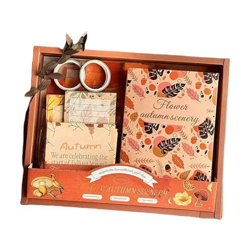 R[W {bNXZbg e m[gt A 6m[g g NVbN fގ lߍ킹 V[ t 蒠fR Lbg Mtg  R[Wm[g R[Wf (F)