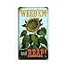 Past Time Signs PTS490 Weed-Em & Reep Metal Sign