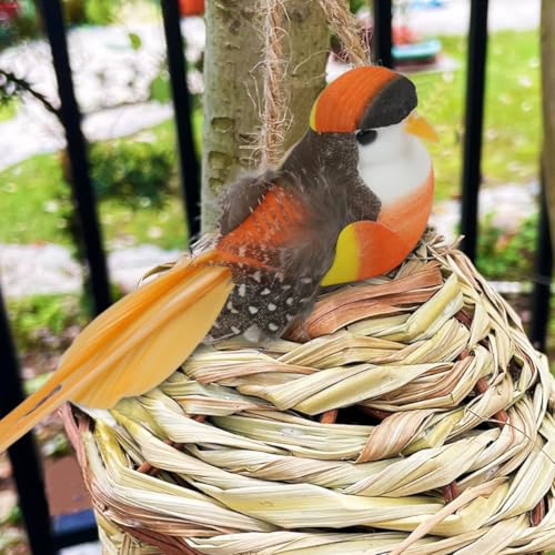 Image of ORTIZA 6Pcs Realistic Birds with Built in Metal Clip Colorful Long-tailed Silky-flycatcher Birds for Home Decor Small Decorative Realistic Colorful Birds for Planter, Ivy, Flower Pot