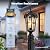 VIANIS Dusk to Dawn Outdoor Post Light, Black 1-Pack Lamp Posts Outdoor Lighting with Pier Mount Base, Waterproof Aluminum Outside Post Lights for Garden, Patio, Pathway (Hardwired 120VAC)