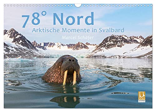 78° Nord - Arktische Momente in Svalbard (Wandkalender 2026 DIN A3 quer), CALVENDO Monatskalender: Unvergessliche Naturerlebnisse auf Svalbard (CALVENDO Natur)