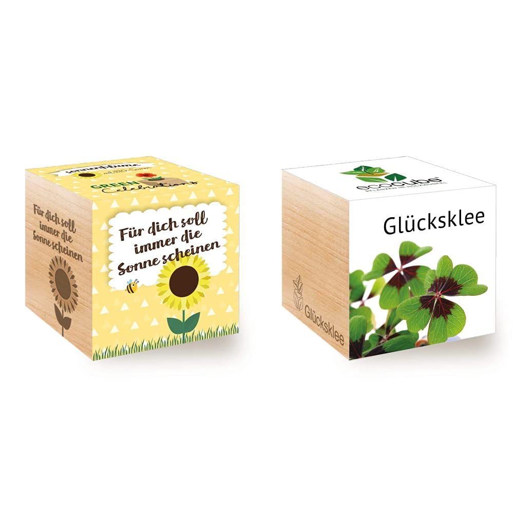 Celebrations Ecocube, Sonnenblume Bio Samen, Holzwürfel Mit Lasergravur «Für Dich Soll Immer Die Sonne Scheinen», Nachhaltige Geschenkidee & 296275 Ecocube Glücksklee, Pflanzen Im Holzwürfel