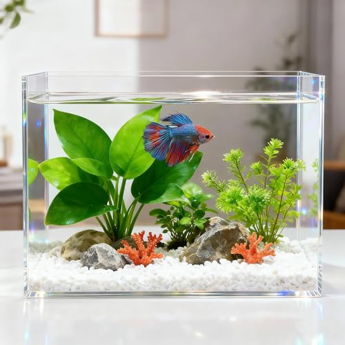 Ferrochef 3 Gallon Acrylic Aquarium