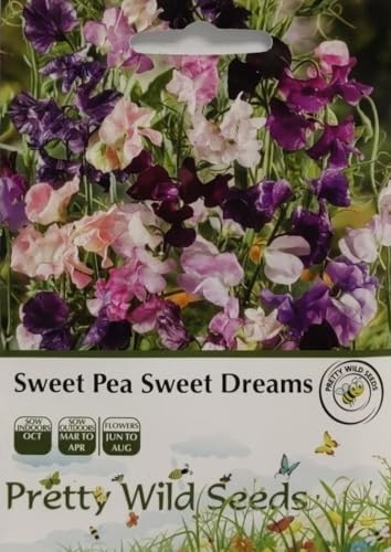 Sweet Pea Sweet Dreams Seeds in Pictorial Packet- 30 Seeds