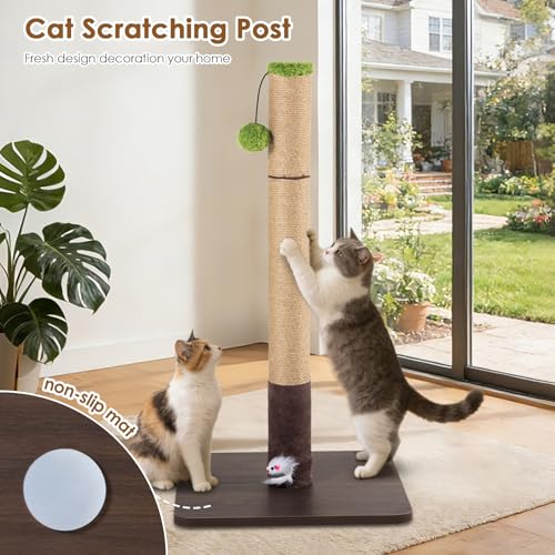 Rascador para Gatos con Base de Madera y Juguetes miniatura 6