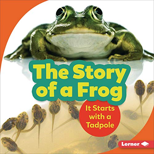 The Story of a Frog by Shannon Zemlicka episode artwork