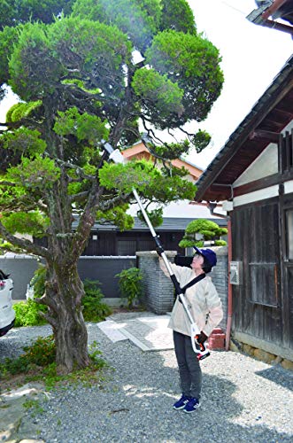 工進(KOSHIN) 18V 2.0Ah 充電式 伸縮 ポール チェンソー SPS-1820 バッテリー・充電器付 コードレス 高木 枝切り 切断 簡単 静音 共通バッテリー 2枚目